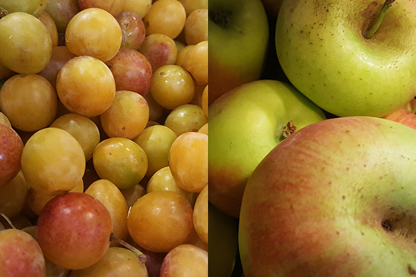 Frisches Obst z. B. Äpfel, Brinen, Mirabellen