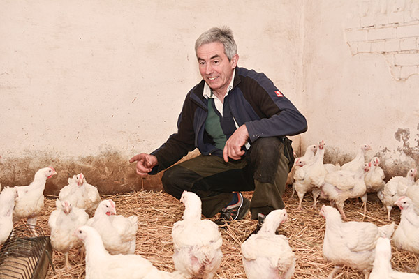 Helmut Koch bei seinen Hühnern